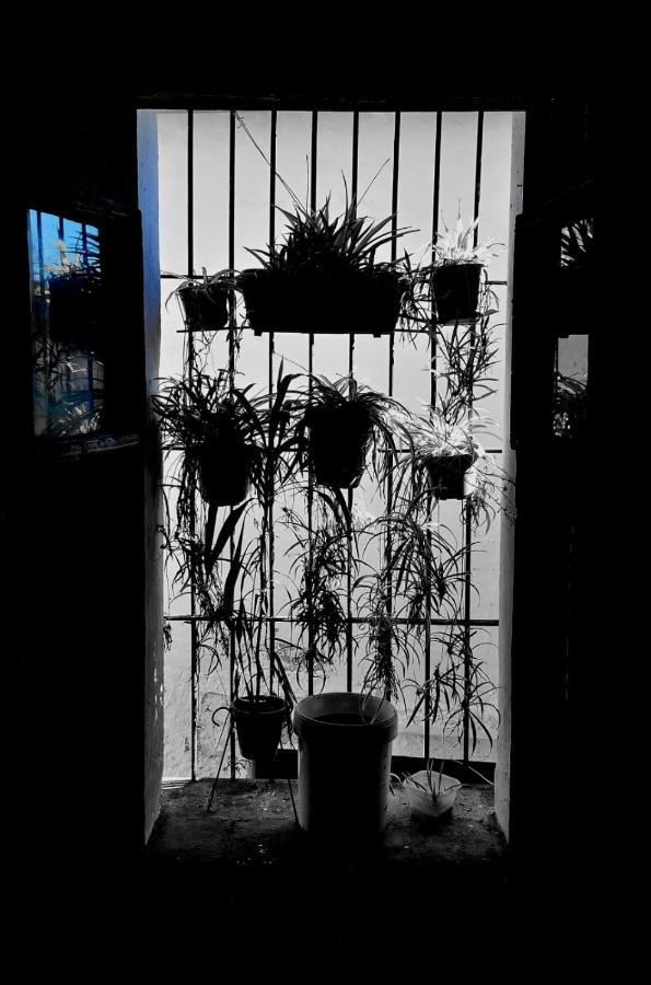 Posada Matadero Cortelazor 外观 照片